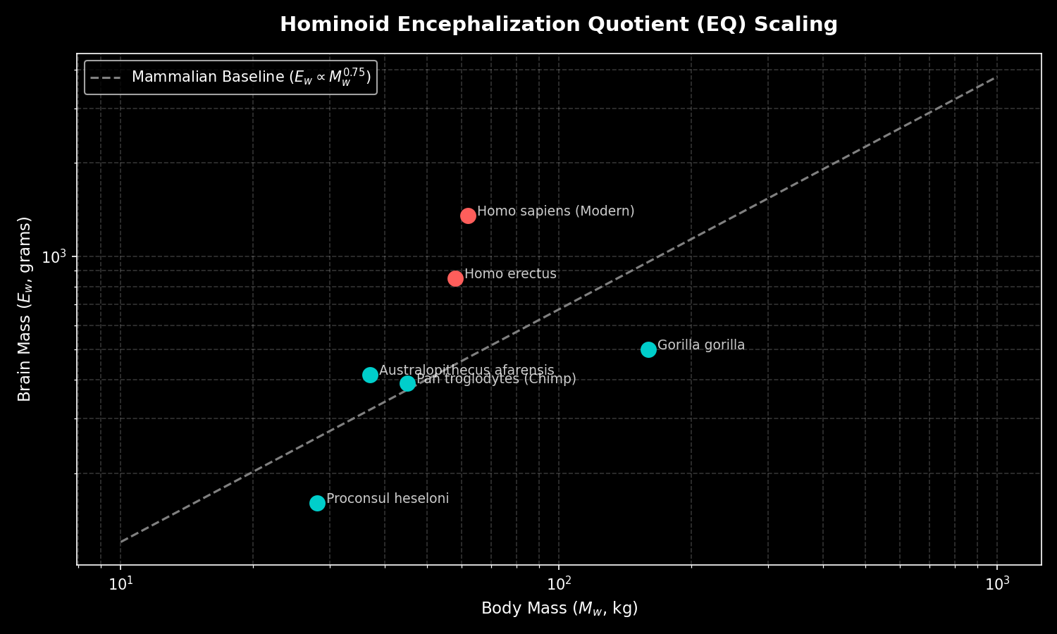 Regression plot of primate brain mass vs. body mass, drawing the baseline and identifying Encephalization Quotients (EQ).